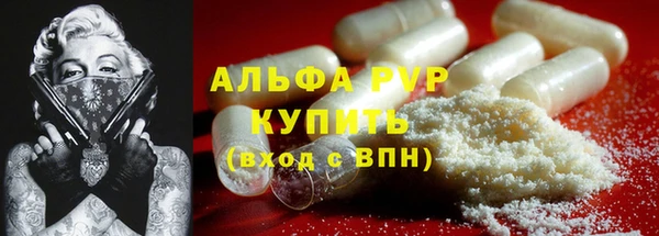 a pvp Белокуриха